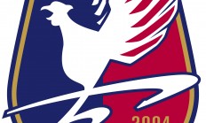 开云体育中国-关于柏太阳神突围成功，冲击亚冠强的信息