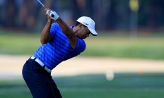 开云体育视频直播-南亚球员展现实力，积极备战