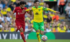 开云APP-诺维奇主场击败对手，积分稳固