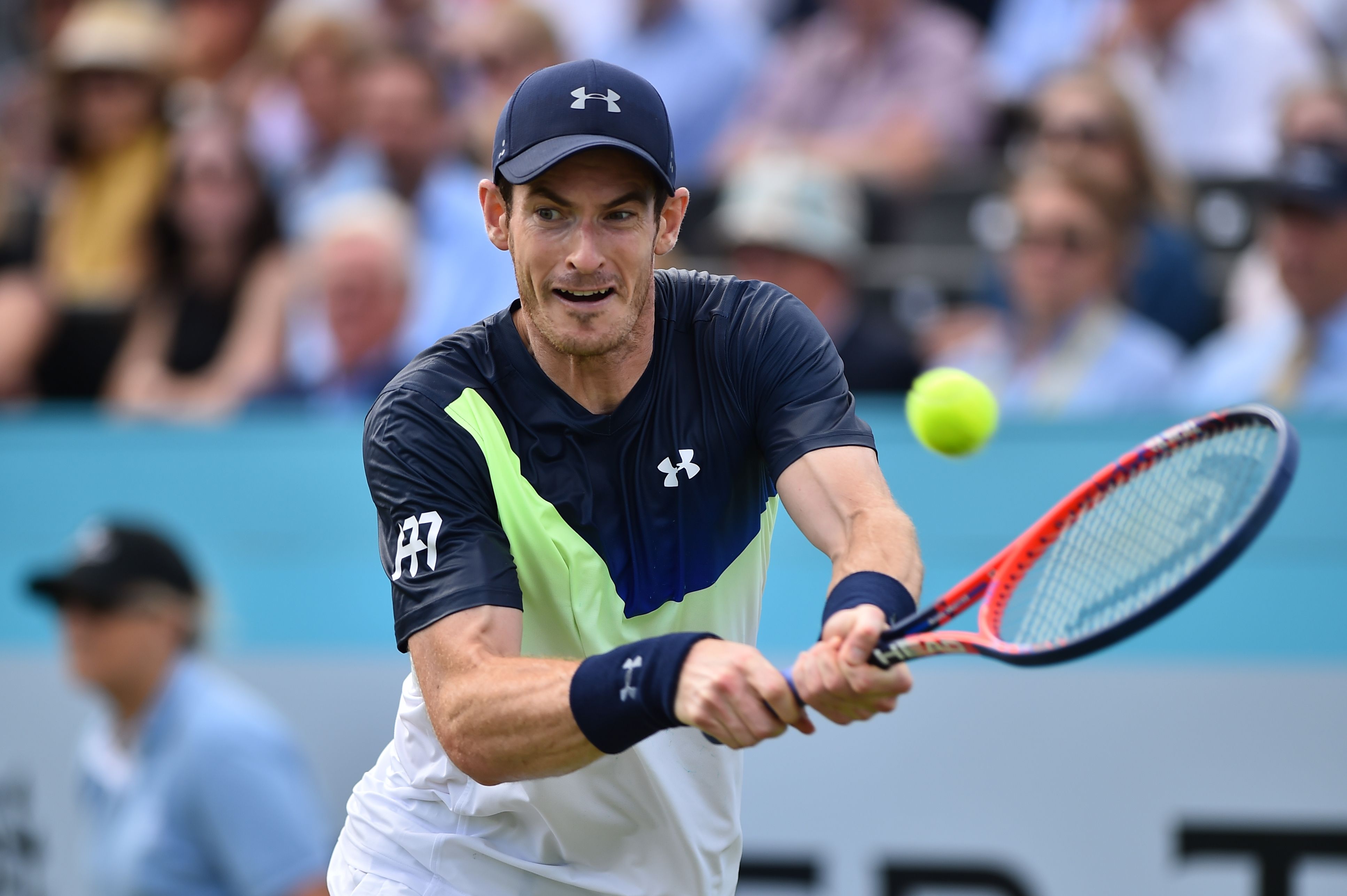 英国网球队完胜日本网球队，穆雷关键制胜的简单介绍