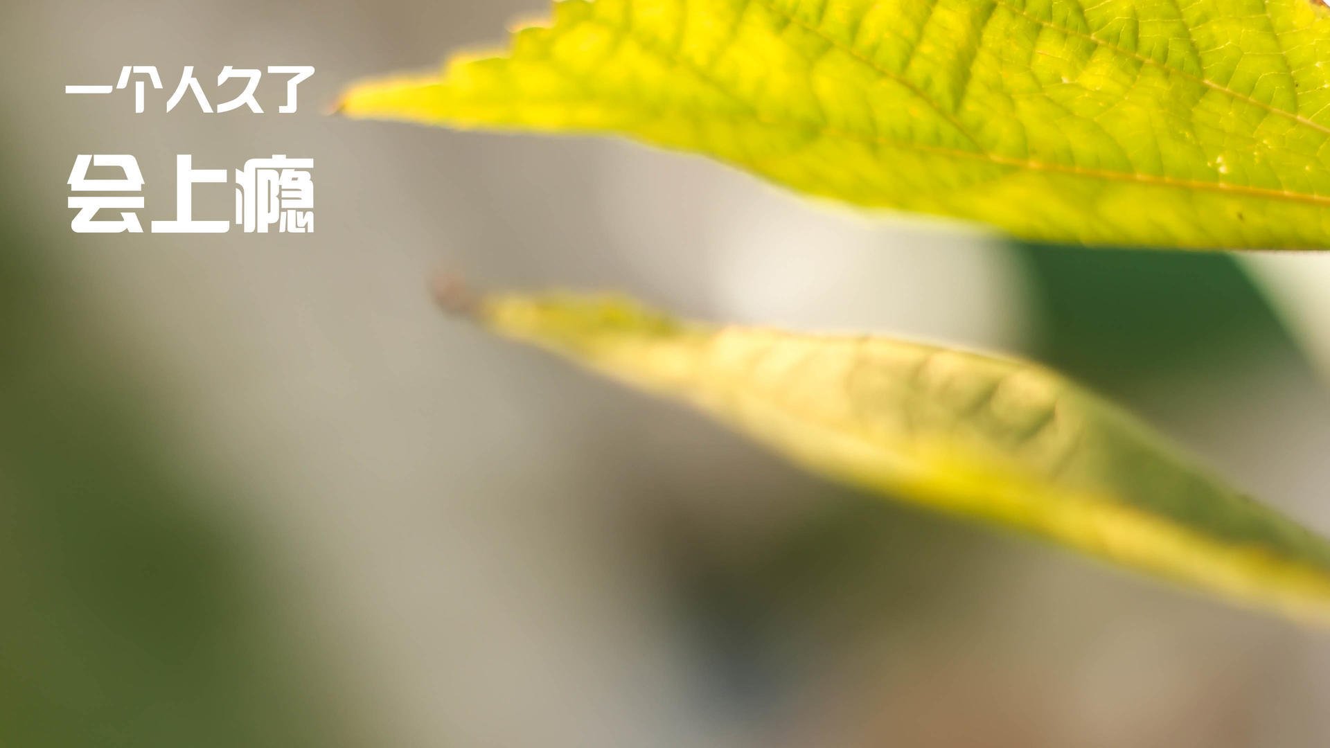 里昂鏖战荷兰,罗德里戈一剑封喉,关键先生改写欧战史诗