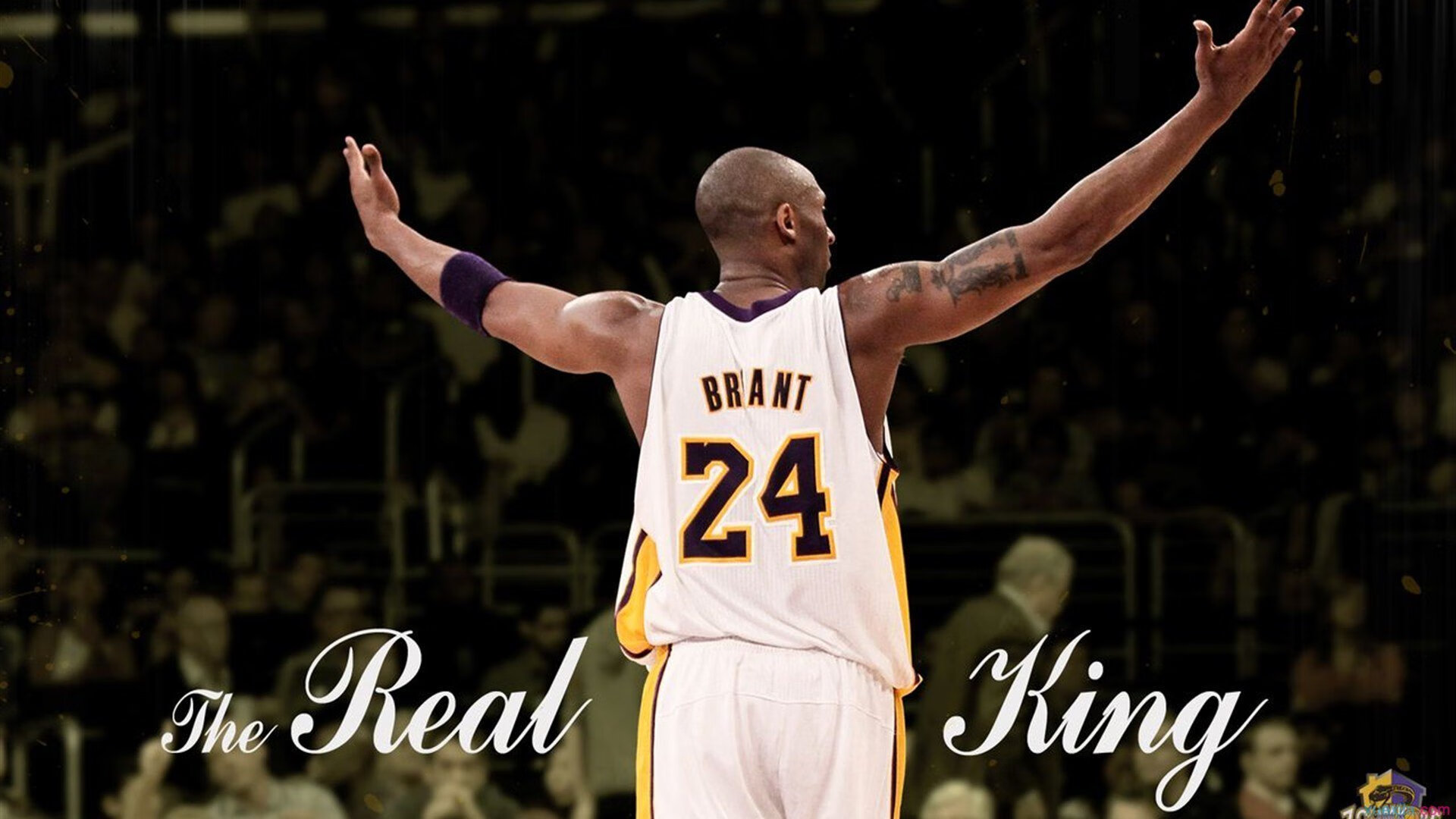 狼啸北境，虎跃中原，从森林狼的强势到锡安的接管，竞技体育的唯一性启示